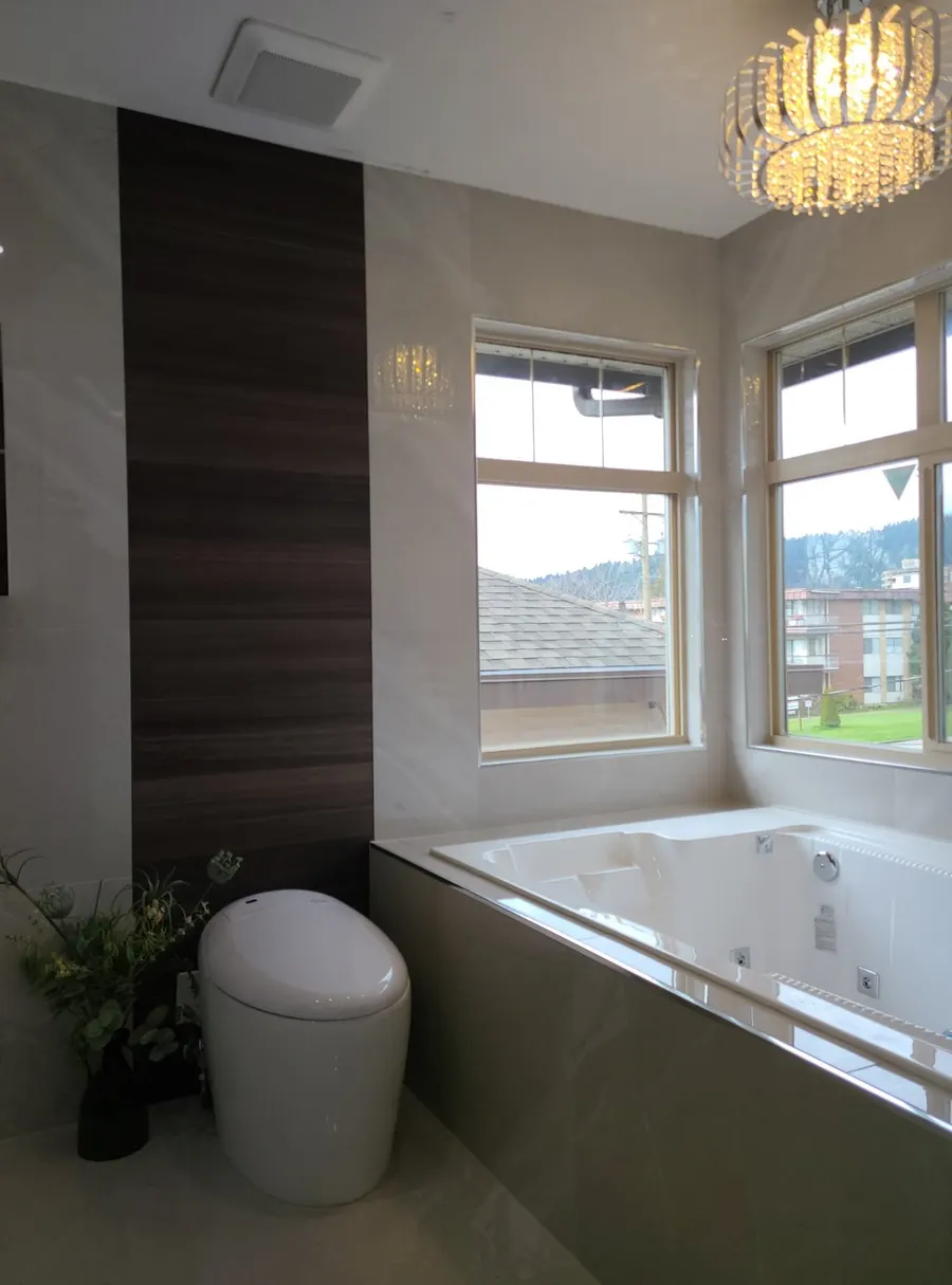 Master bathroom with walk-in shower, photo 10